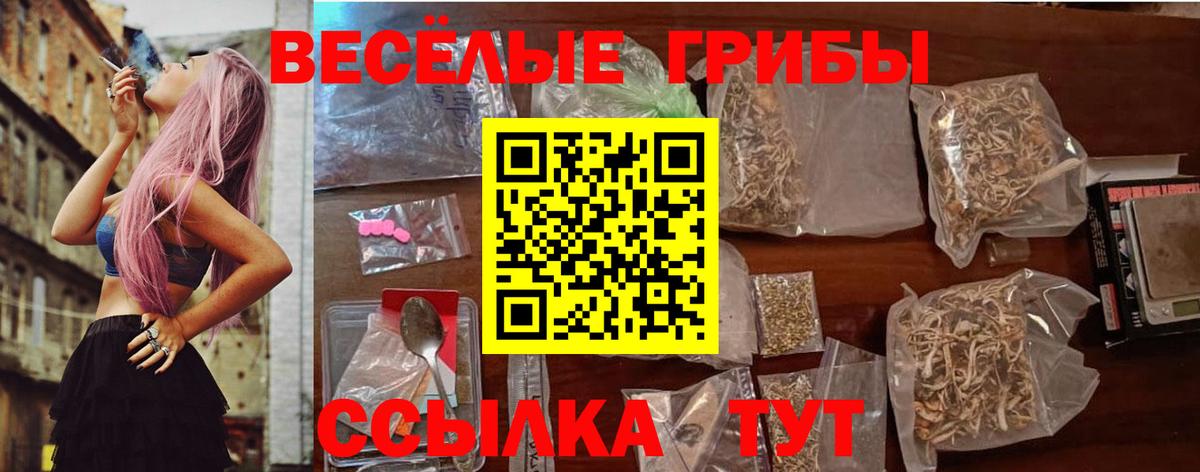 Псилоцибиновые грибы GOLDEN TEACHER Новокубанск